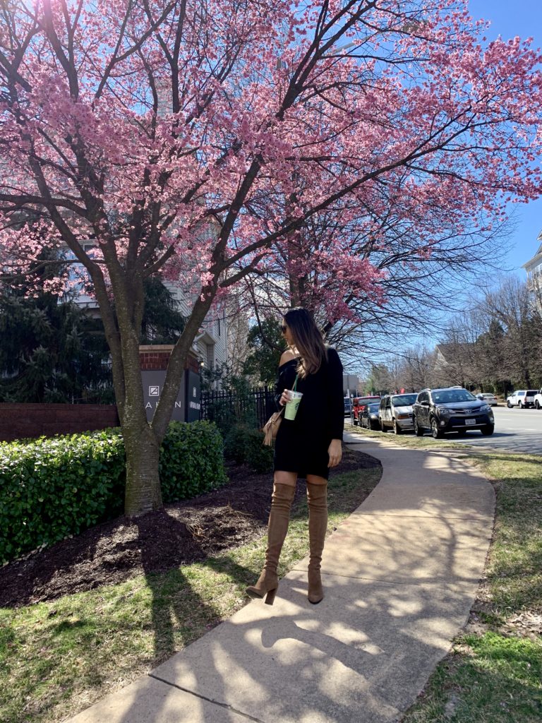 Missguided Off the Shoulder dress with Over the Knee Boots from Steve Madden in Front of Cherry Blossoms